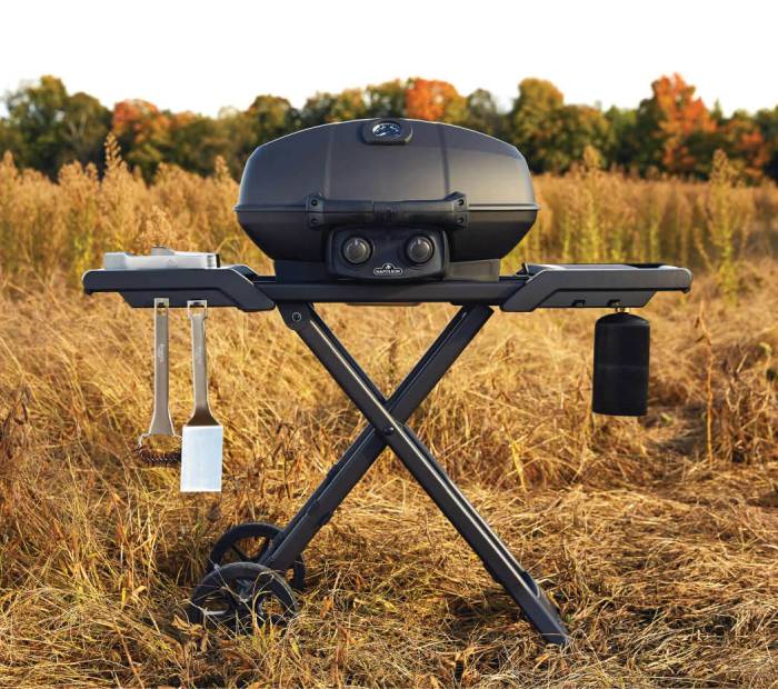 NAPOLEON – PARRILLA BBQ 2Q PORTATIL BLK INFRA – PRO285X-MK-PHM