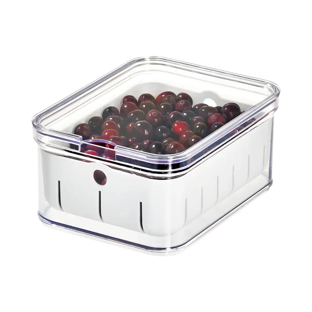 INTERDESIGN – RECIPIENTE CRISP BERRY BIN – 71640