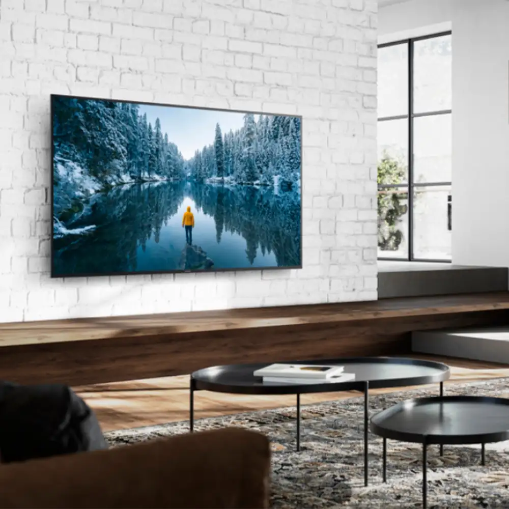Panasonic - Pantalla 50